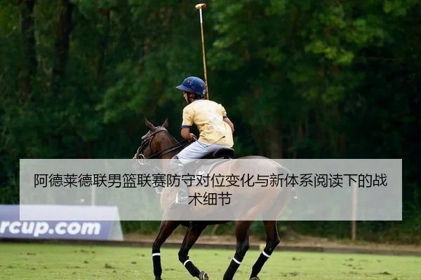 阿德莱德联男篮联赛防守对位变化与新体系阅读下的战术细节